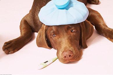 第五赛季还未开始 《战地2042》就宣布将继续开发推出第六赛季